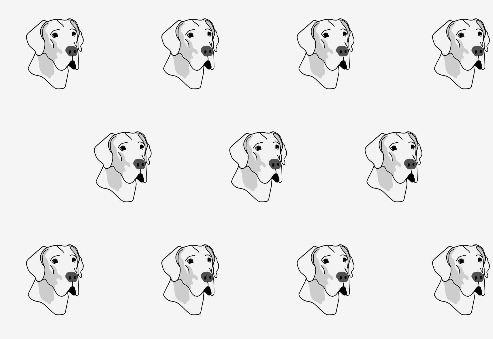 Great Danes Pet Insurance Fetch Pet Insurance